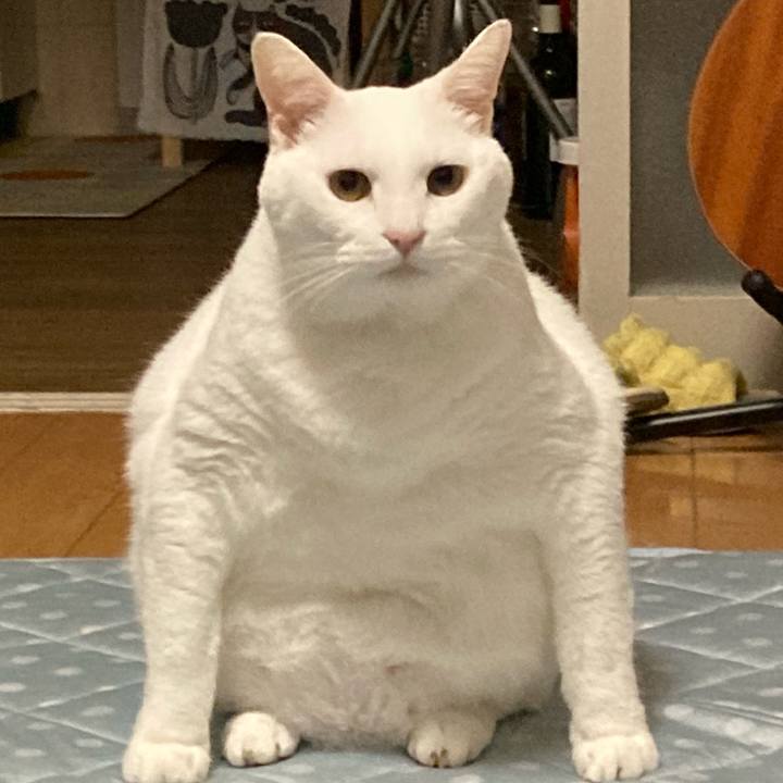 9610bfc2 5fcf 424e 92e0 21b89104b87f 1694444263556