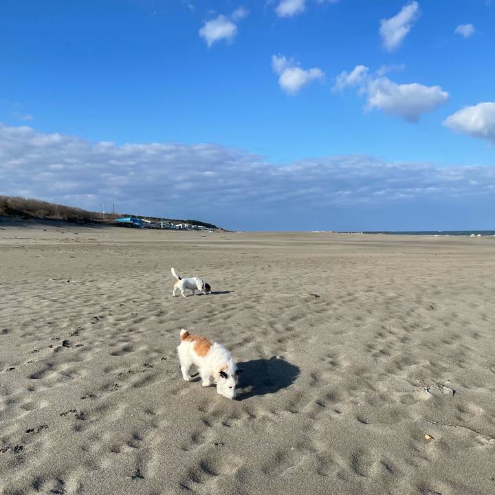 9610f494 c13b 4609 92d9 397652720d5d 1711498358861