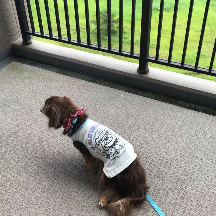 9610fb97 33d9 4e77 ab00 365f260bb9e4 1596071210383