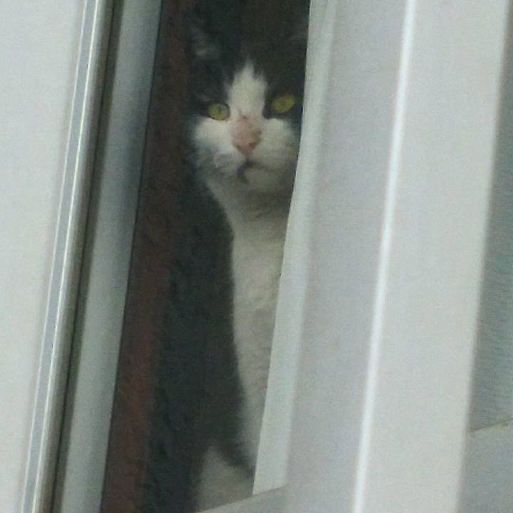 96113828 d537 4ae8 a947 78acdb94e4eb 1517108151770