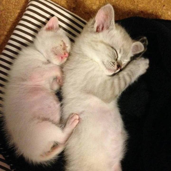 961143df 2f4a 4d19 86a0 2caa20f28e30 1542860498747