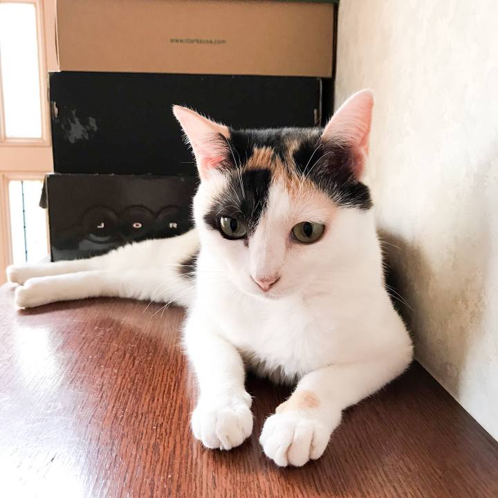 961147f2 22bb 4f7c 897e 1d54fbd5ea93 1534465931830