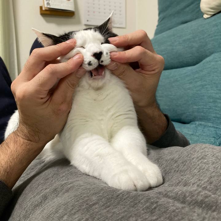 96119a21 1e8a 4b3f 876a d760a38b0bbf 1762089198913