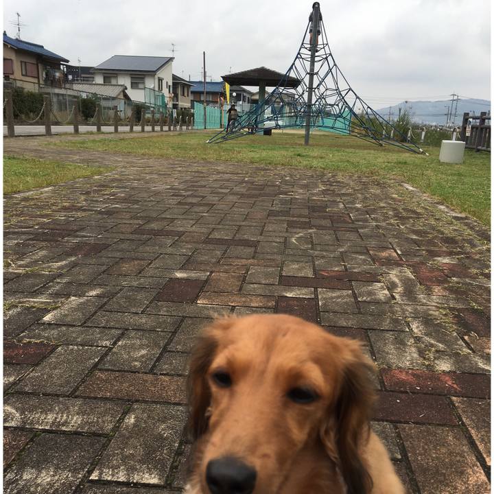 9611c94b 61dd 47ef 9828 bc84512d1345 1512282200713