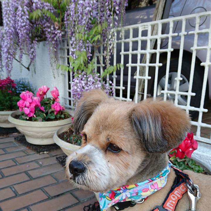 9611cb21 6968 4b8c 8f70 d7587cefbe8b 1523487252128