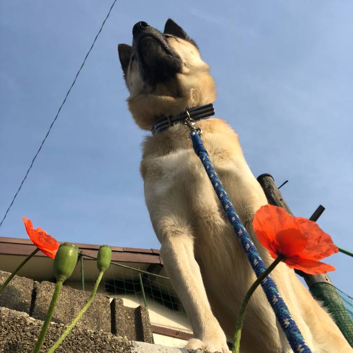 9611d5f1 d0d3 429c b4b2 d7876a08936c 1554808267425