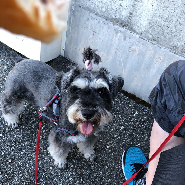 9611f27d 771f 45ab b686 384a03b9bc29 1626481751351