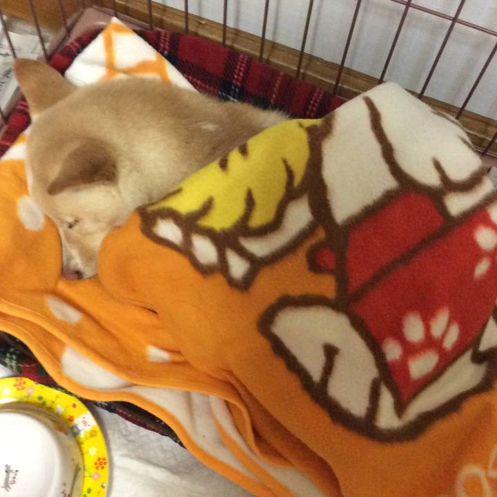 96121e56 f40d 43e4 aea3 ff08416b0857 1514295327507