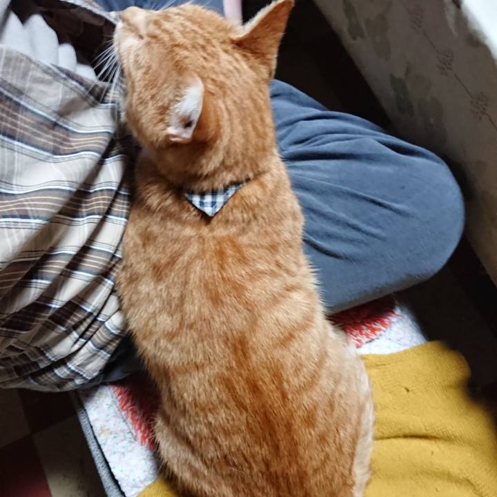 96122de7 1540 4e97 94ac 019ab8c2a5c2 1571087754424