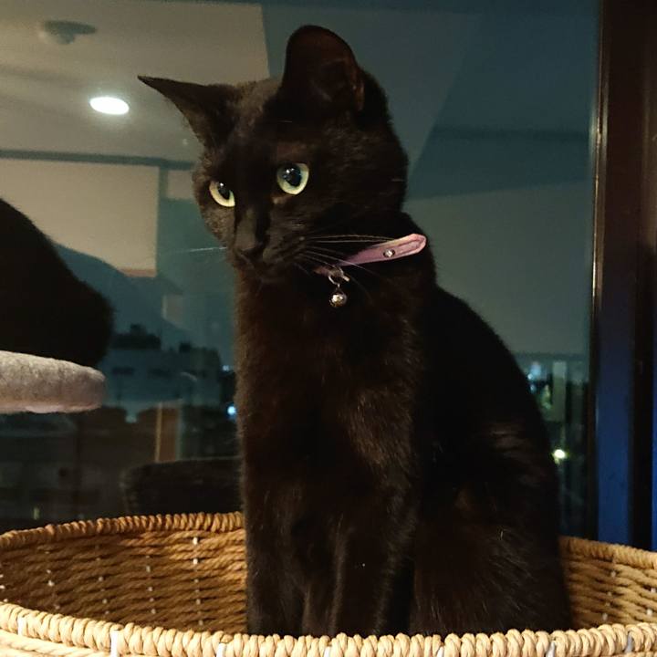 96123bb0 70a8 47db bbfa e2535bff899f 1563319856315