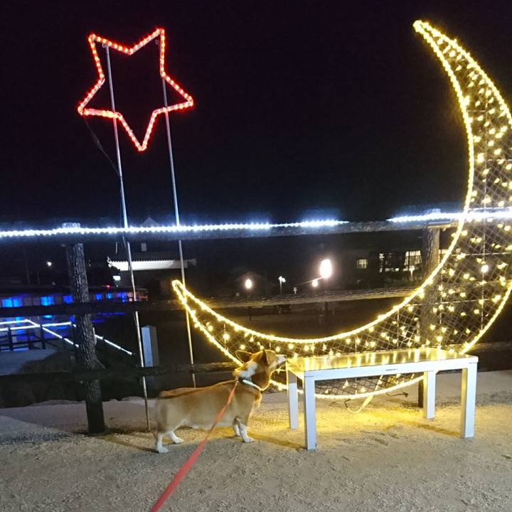 96126073 6191 4064 a4b4 d58a0836cfa0 1605269204124