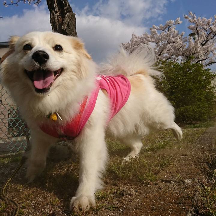 9612739f 73ed 418f ac9d 93d600c37150 1664336248839