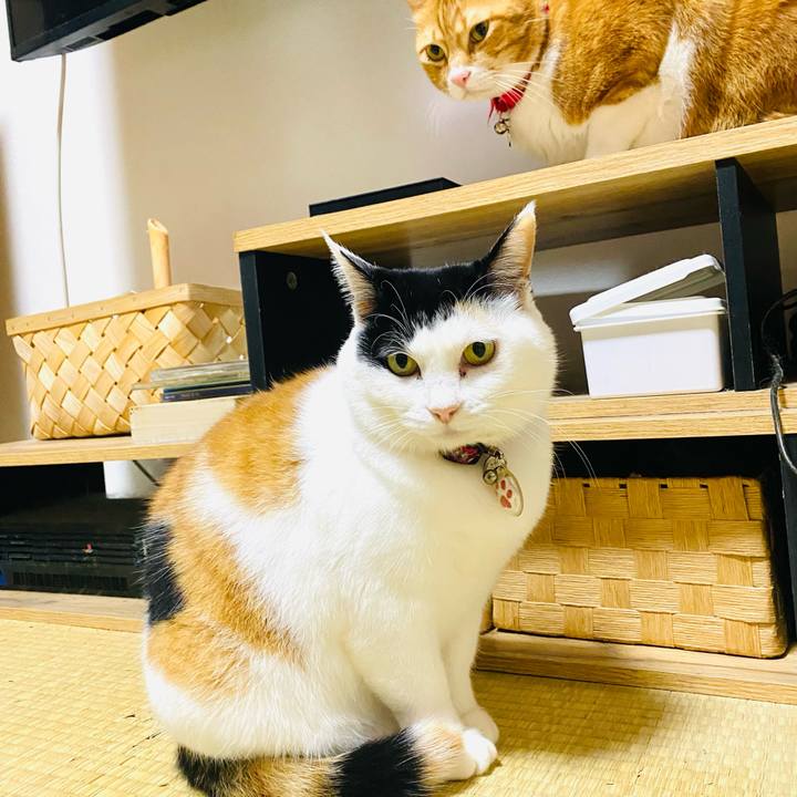 96127eae 6414 49de b4f8 87f5635156a5 1734711624398