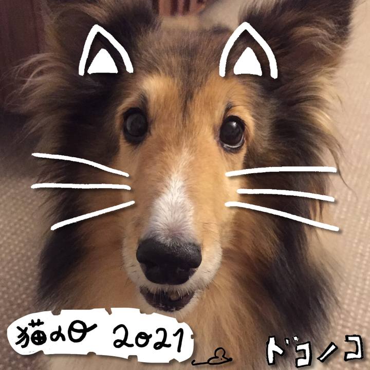 96129db7 8614 4e24 abfa 35000b7ac903 1613998515909