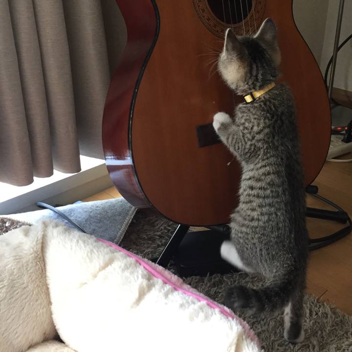 9612dd9d fe06 47dc 8842 96b438dd9313 1552435682612