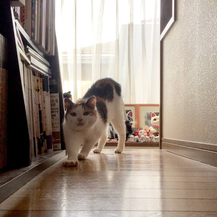 9612e112 e9b1 49a4 96ae 25829950e159 1566456903101