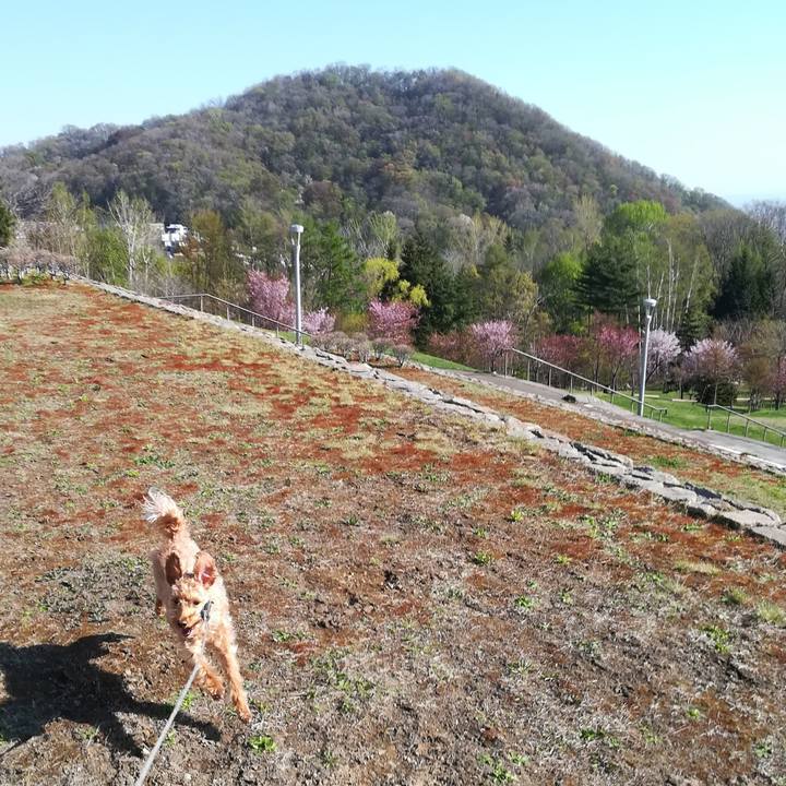 9612f1ef 6105 4785 9d8d 64fe0389f26d 1556923747193