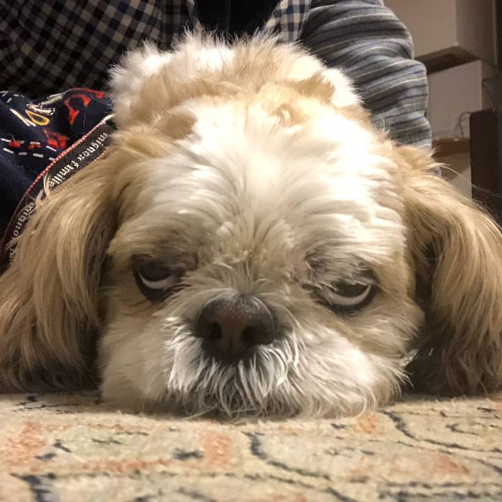 9612fd89 14a1 454a b4c8 d3b7b55f87ea 1616709383947