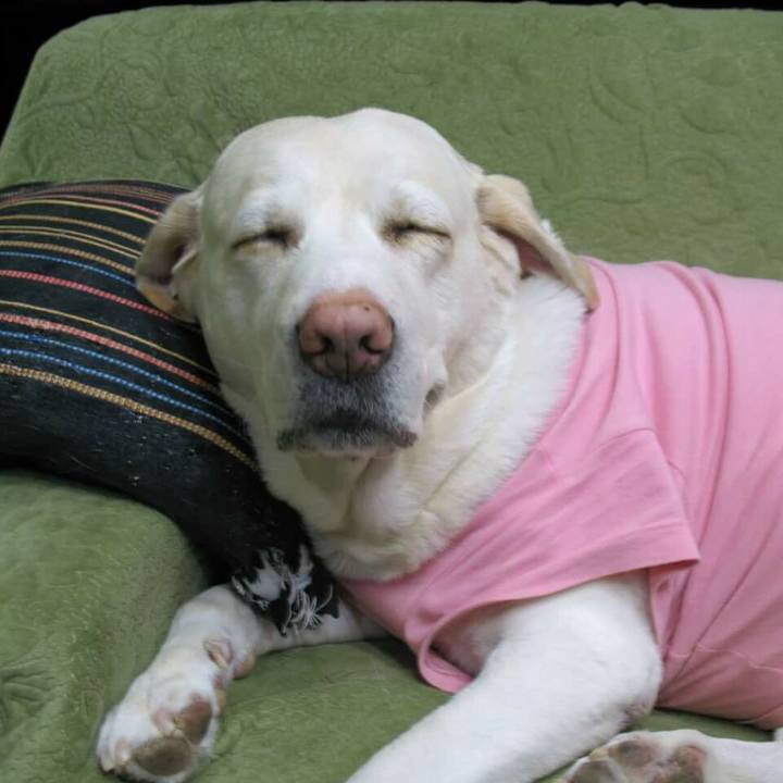 9613166d bef5 4515 8e61 995133ea0c99 1512302730943