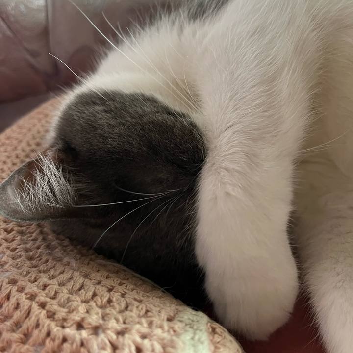 96132176 5806 4048 88e5 cbf161e652da 1766846769486