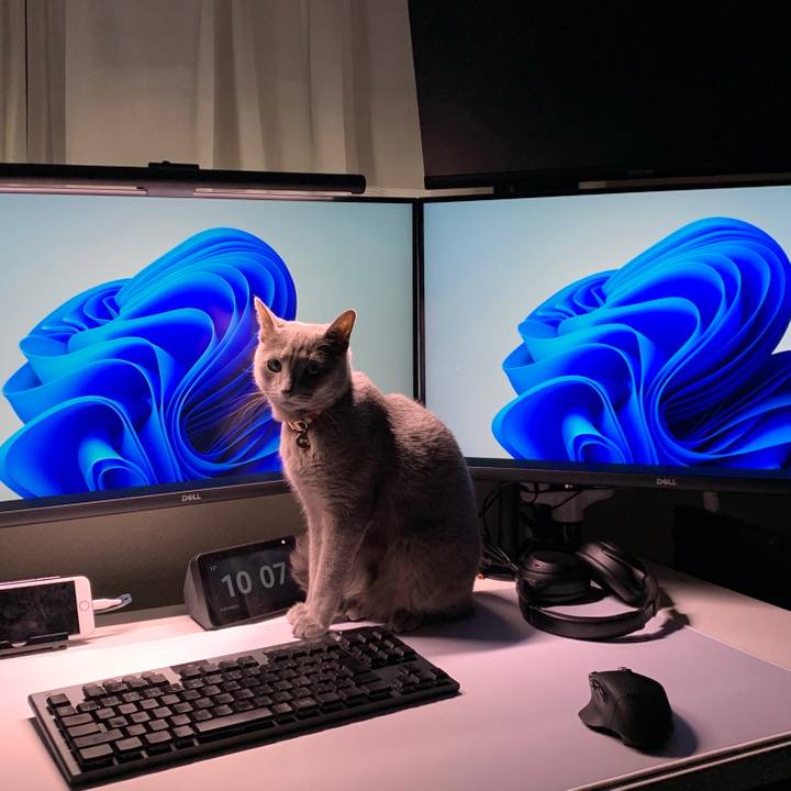 961322d2 125f 4b6d ad6d 9aeae633bb62 1636780318418