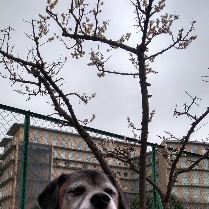 9613256a 1e35 457d ad05 5884766c245e 1548892940255