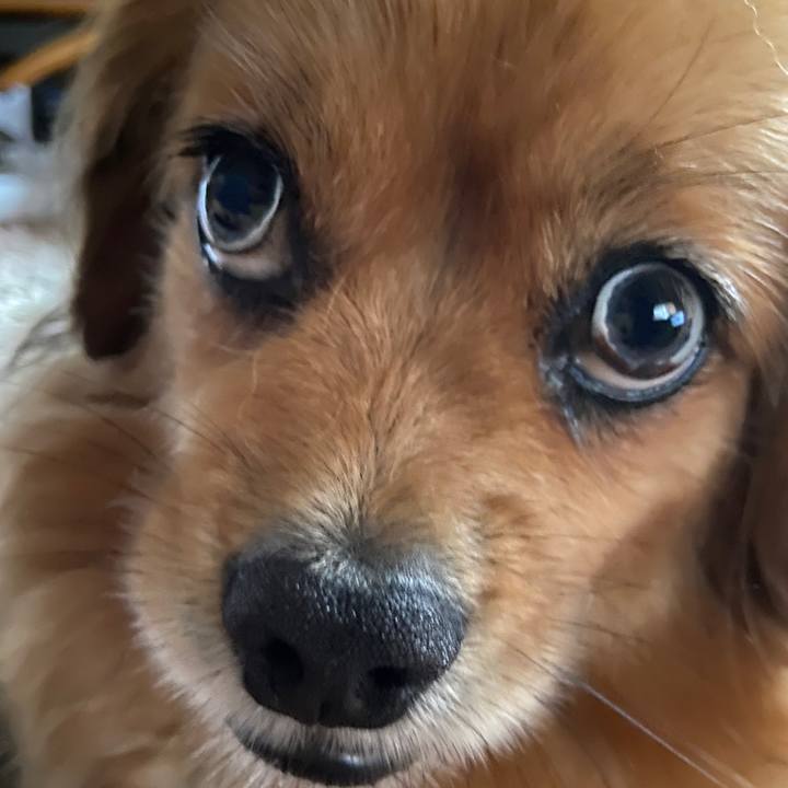 96133ee0 9c7f 4c79 aae6 3d907b58e422 1657834078694