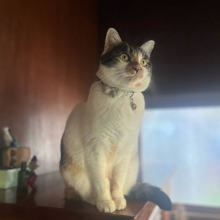 96134a86 472c 4e58 826c fadc47013e24 1770360754459