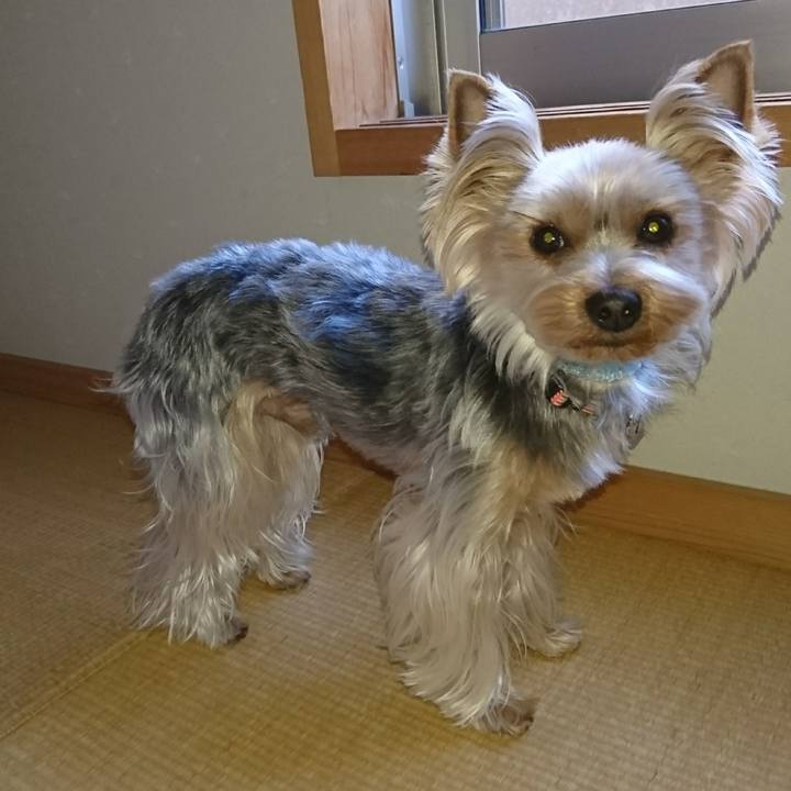 96135812 eada 45b8 b849 d364c2603a66 1521842919946