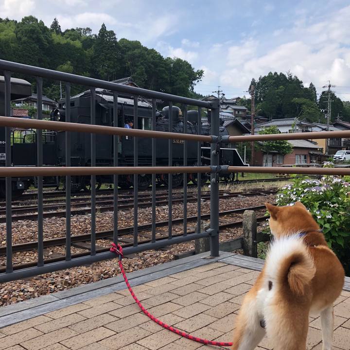 96137802 f441 4a72 8208 c6c31856dc18 1529217552980