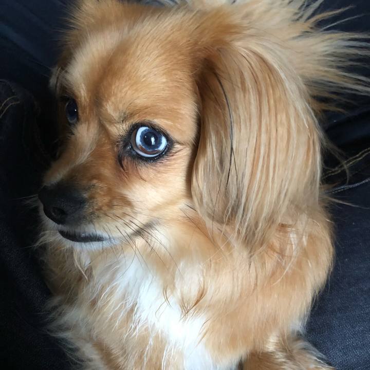 9613b0c4 05d8 4344 8413 6edf972e8c0d 1556753418972