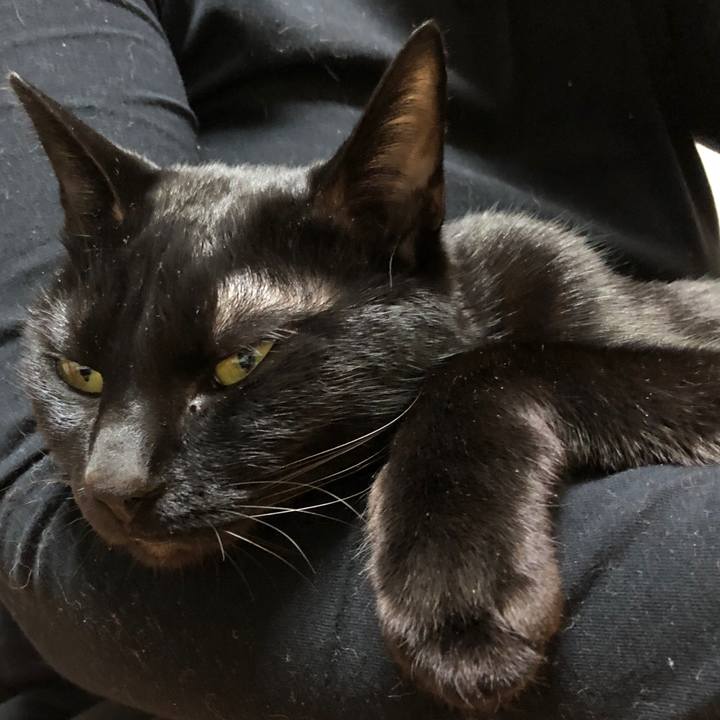 96142ca7 6492 4de4 adc4 aca5919a327a 1707728093559