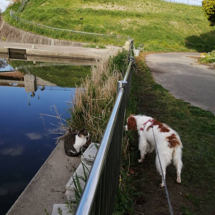 961478e2 2618 4e1d be52 44c52a3cd7f7 1617665504559