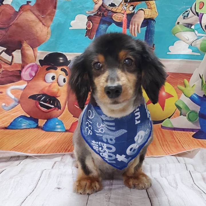 96148bd5 8fc5 4b62 87e0 16891f8d9916 1655416187984