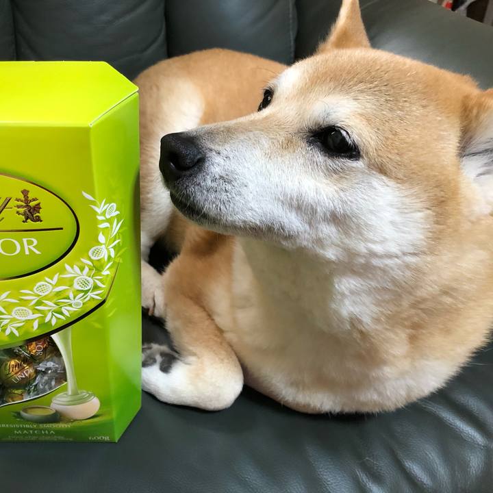 9614ade1 815b 49ef 8dcd 829bb5fa24d8 1587040978042