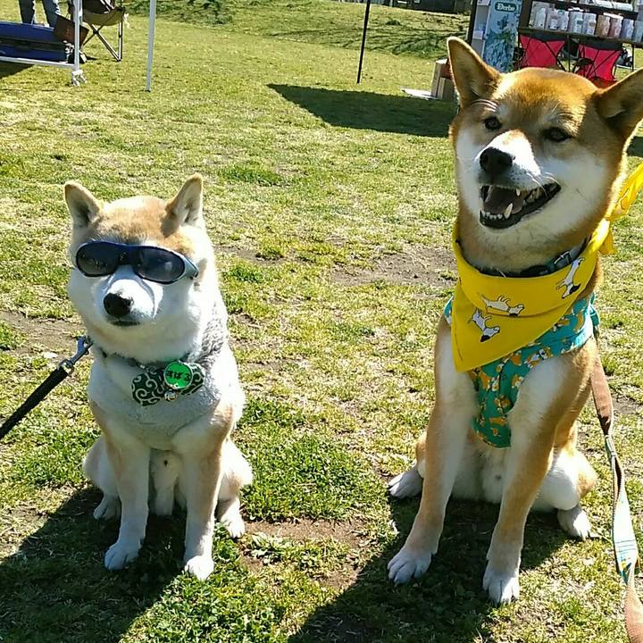 9614c5a5 3de1 4b02 8bc0 2b0ac4b57aa5 1553395709244