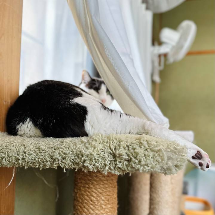 9614d05f 3ce0 4cbd bc99 39bd824b8984 1684718272555