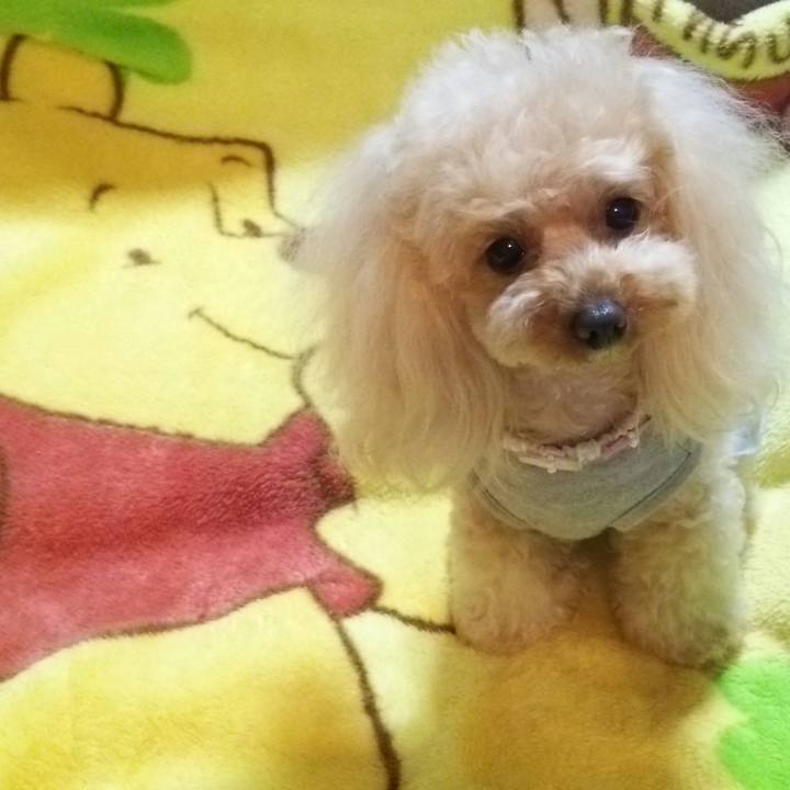 9614d4ce ea4d 455b bef0 c5e69048fb32 1524661662503