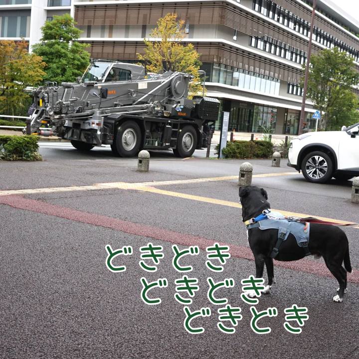 961505d4 ba6b 4d7f a310 d3bf2663571b 1760488582401