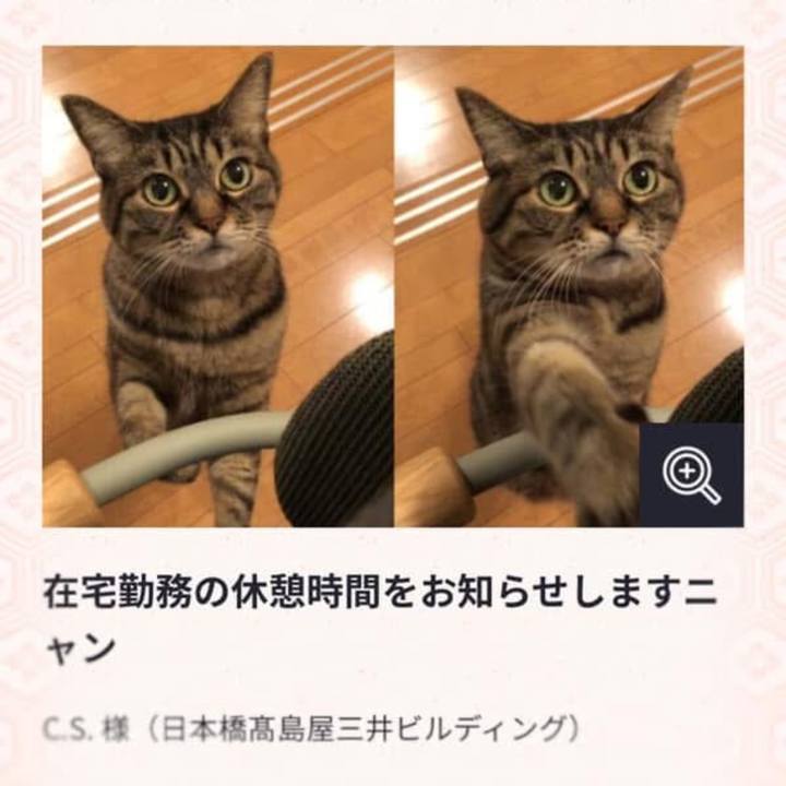 9615515b 9373 405d b375 62fd4ff4deda 1768395788472