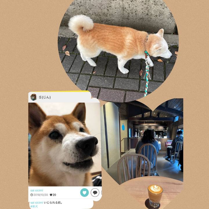 961565c0 e601 4b95 b705 1c8c4718562e 1635838796259