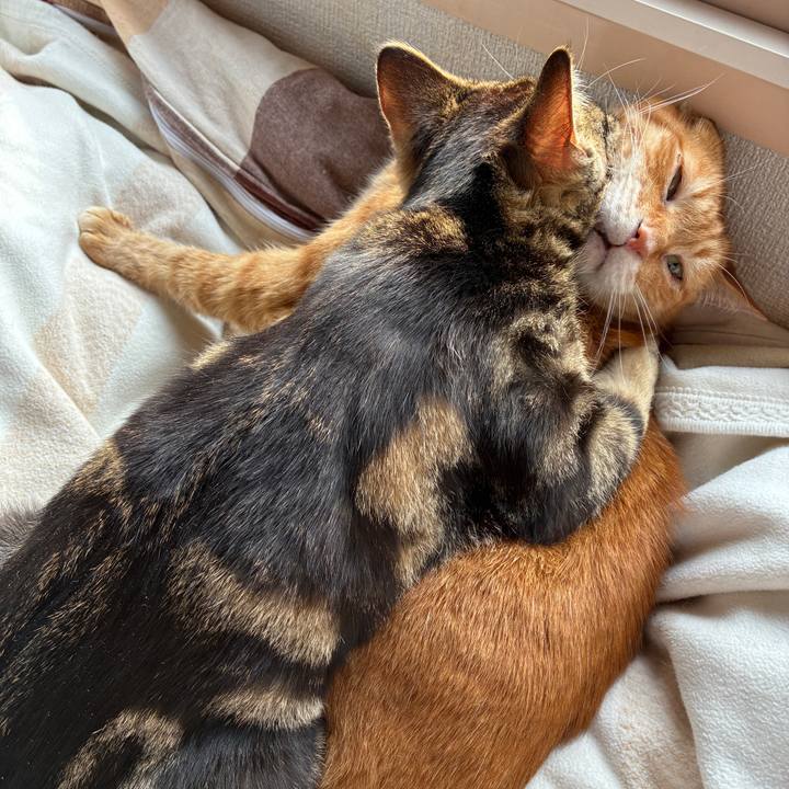 961591d3 1525 4ff7 98aa 76199353df0c 1748037974729