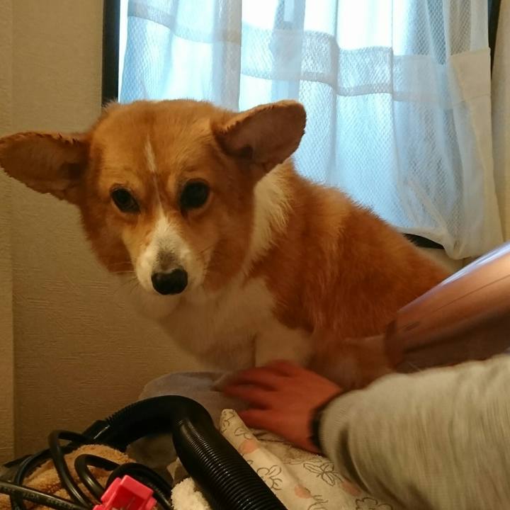 9615c9ae 7d82 40eb b5b3 b8cc781255a1 1542793768516