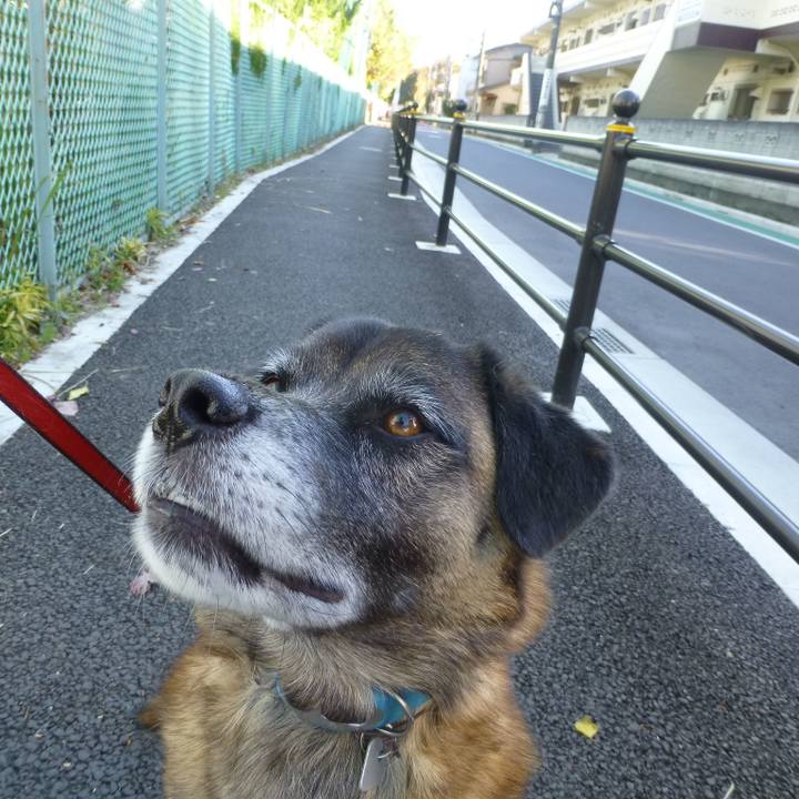 9615e890 22b5 430e aac5 ecbf58ec02e5 1579305785082