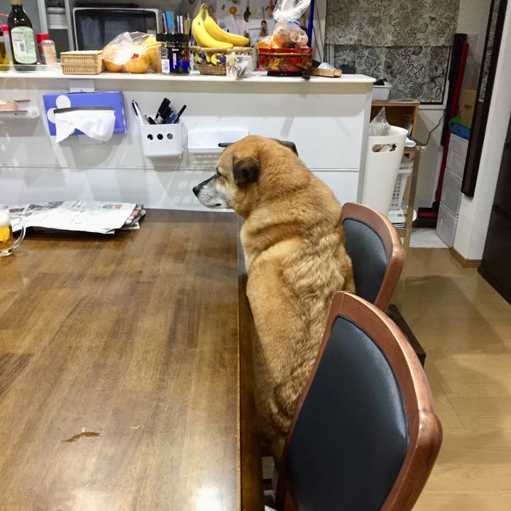 9615ed8c accc 44b0 b464 1094b9582764 1587465037632