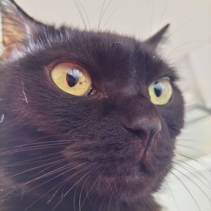 96162d44 fbeb 4455 94b0 2ef7f6cead49 1697842360382