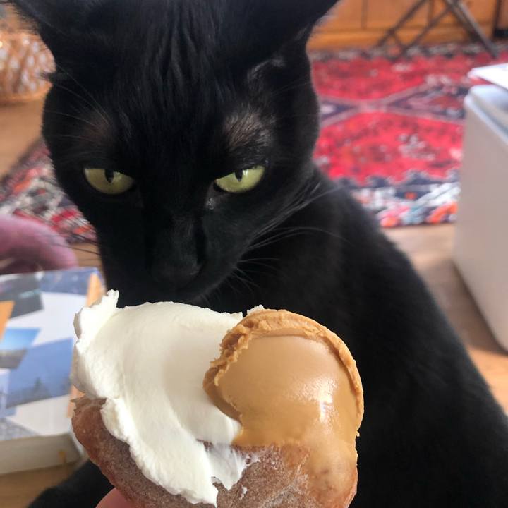 9616385b b8bc 4d5e b26b 14b98df043d0 1641607846887