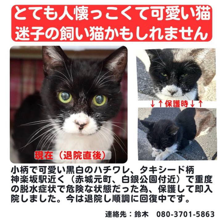 96163b01 01d6 4929 9930 f239c32c90dd 1735001296048