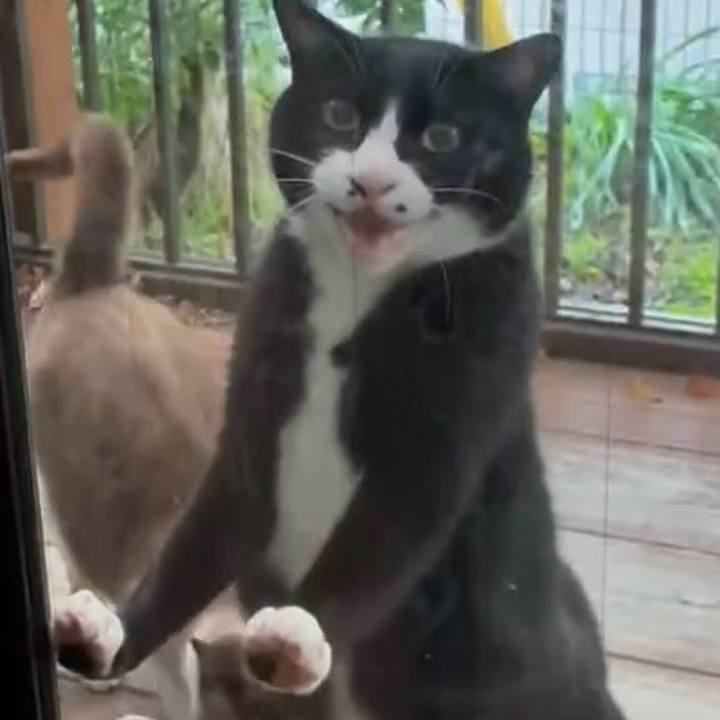 96163c3c d3da 489d 9810 352dd4668a8c 1748079129744