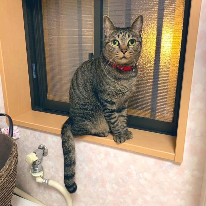 96164458 7251 4852 9654 46aa61828d14 1570882344489